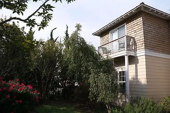 Beach Spa Bed & Breakfast Virginia Beach